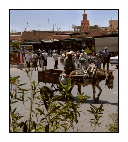 toubkal kim 12.jpg